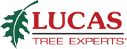 Lucas Tree Experts Logo
